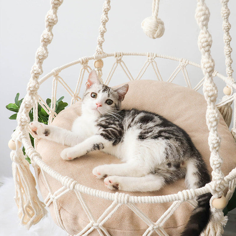 Cat lying comfortably in a cat hammock