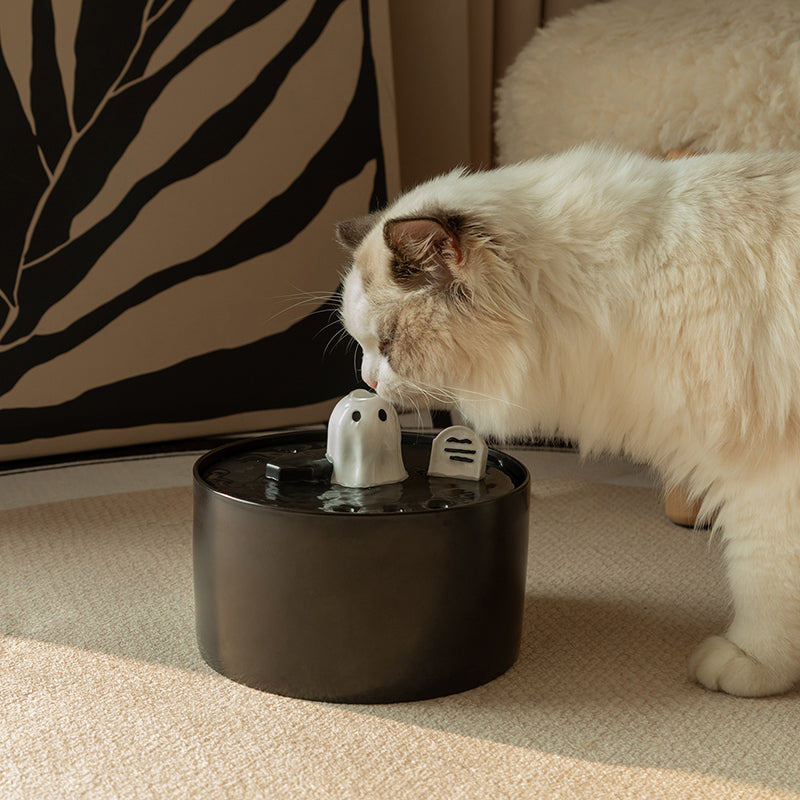 Ghost cat water fountain fresh flow