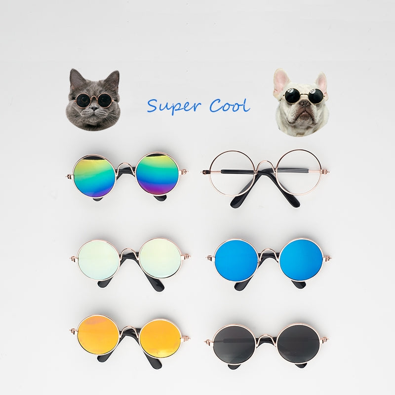 Super Cool Pet Glasses