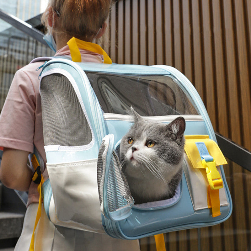 Old School Style Cat Carrier outdoors