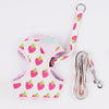 Fruit Series Pet Harness Vest & Leash - happyandpolly