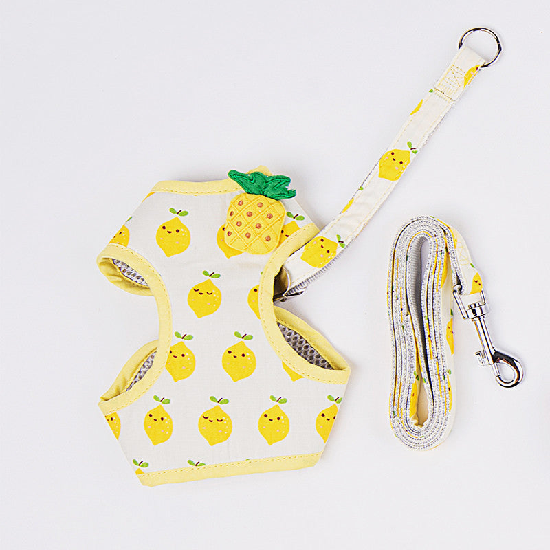 Fruit Series Pet Harness Vest & Leash - happyandpolly