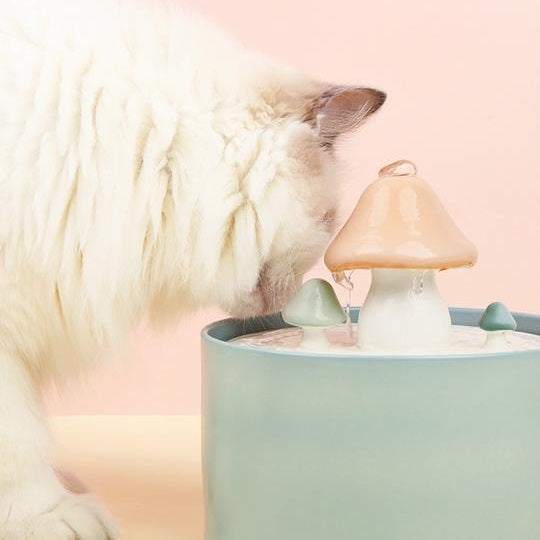 automatic cat water fountain