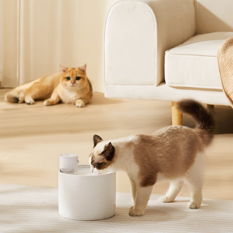 automatic cat waterer