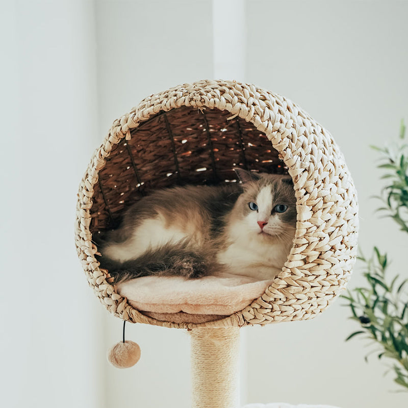 Detail of a cat sleeping in the top nest of the Bird Nest Cat Tree