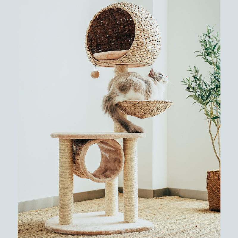 Right side of the Bird Nest Cat Tree with a cat looking into the distance from the platform