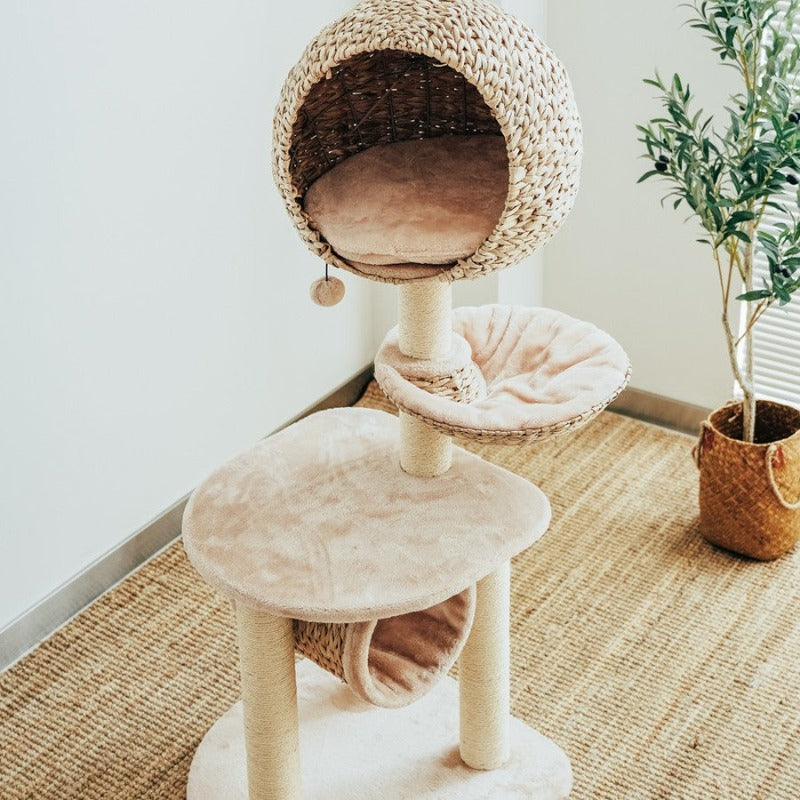 Top view of the Bird Nest Cat Tree