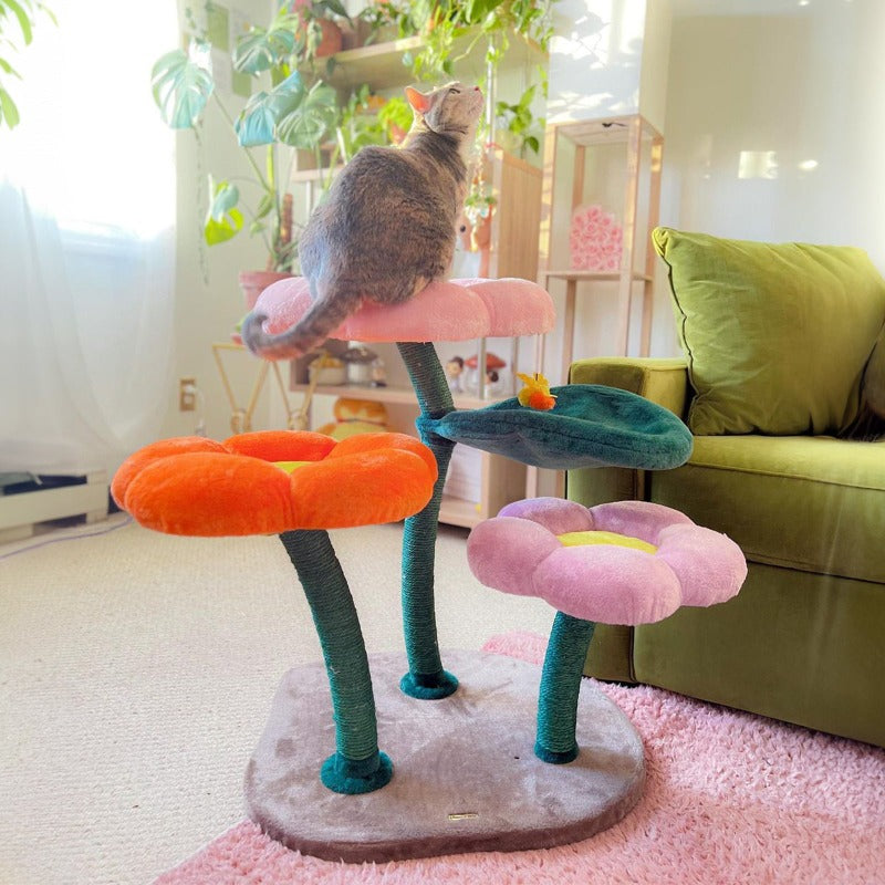 A cat looking up from the pink flower platform of the Bloomy Flower Cat Tree