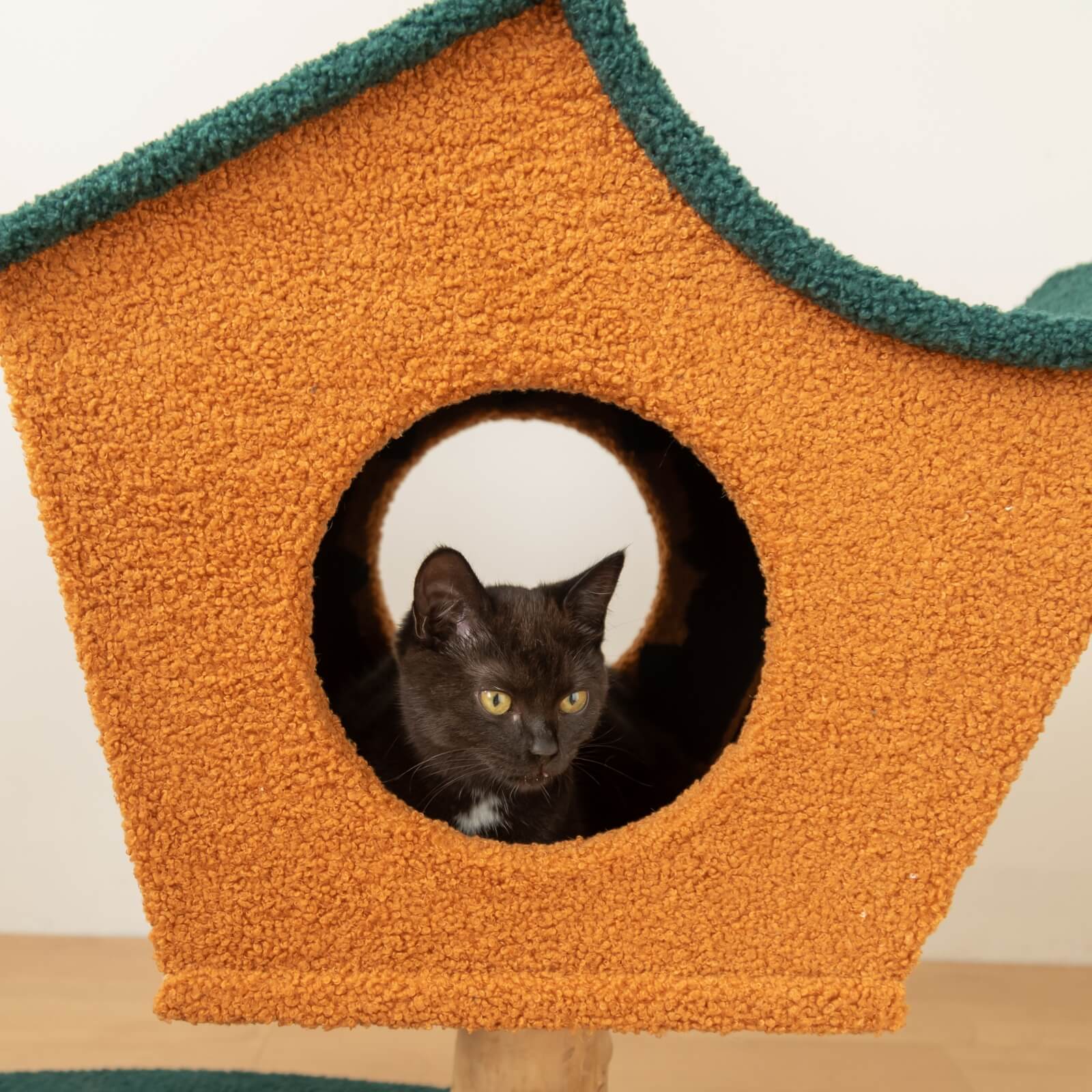 Detail of a black cat inside the house of the Brown Wood House Cat Tree