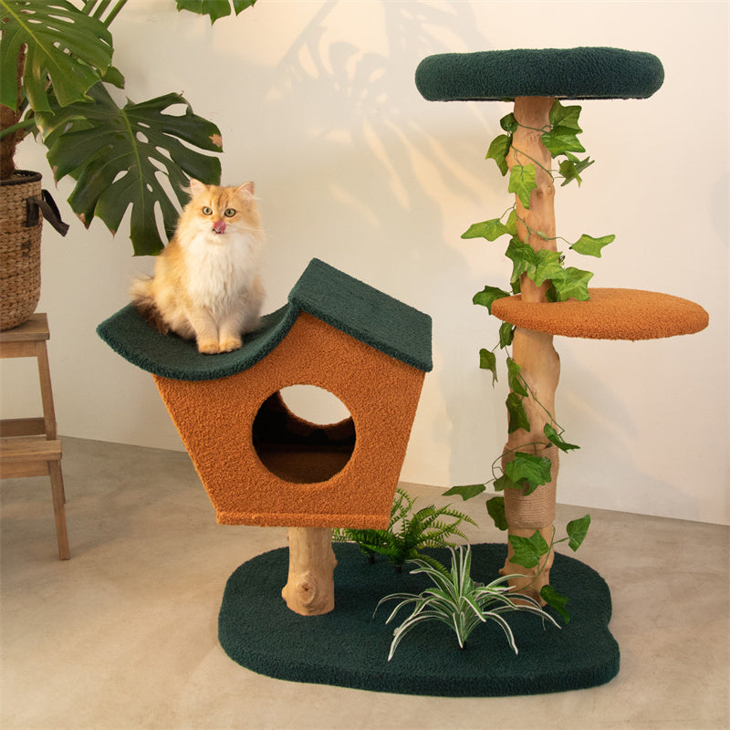 A cat siting on Brown Wood House Cat Tree roof in living room