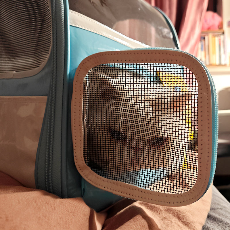 cat carrier details