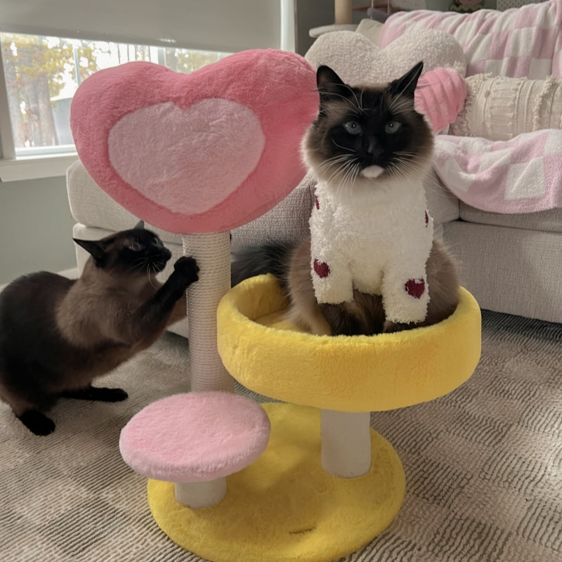 Cat playing with the scratching board on the Hit Your Heart Cat Tree Yellow Platform.