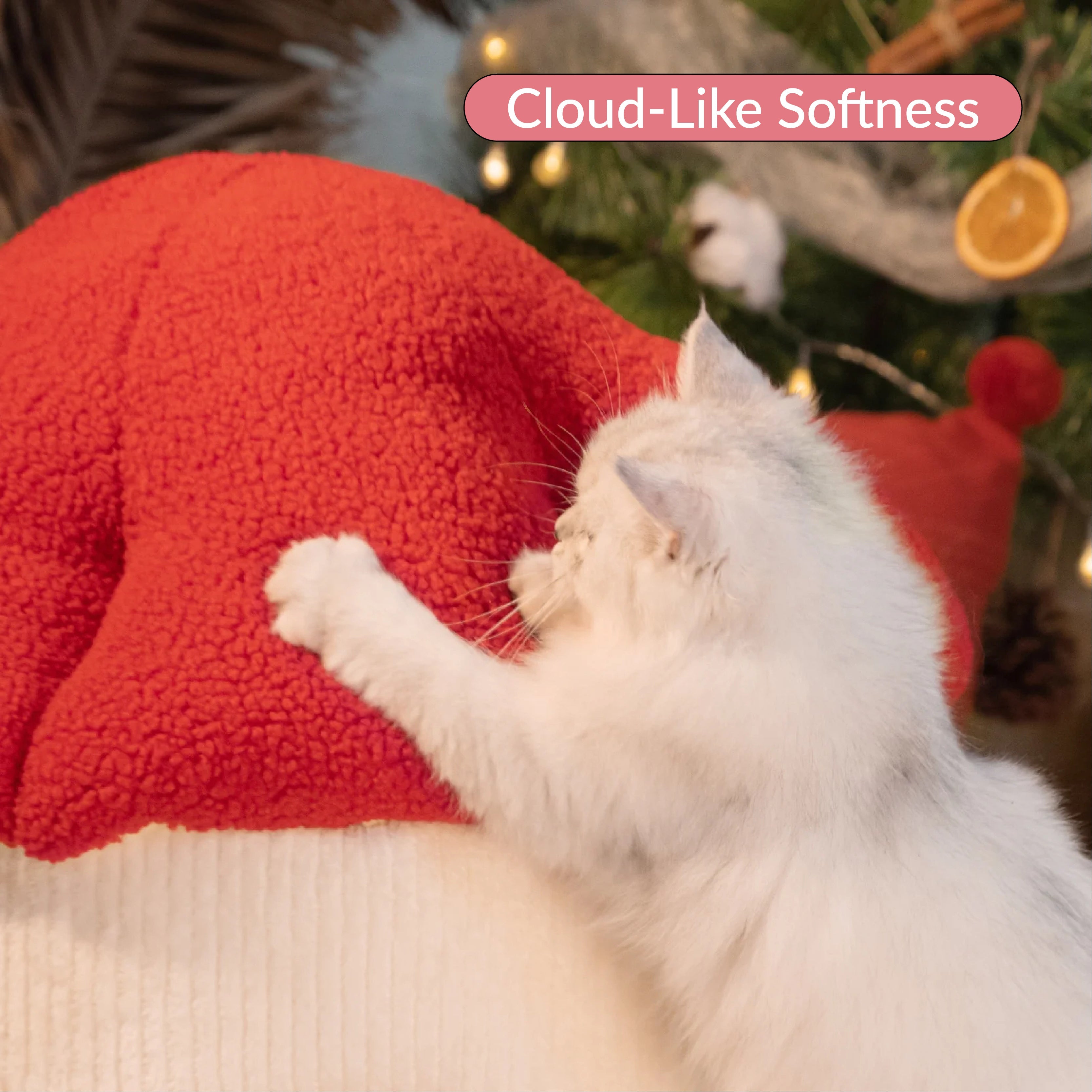 cloud-like softness cat bed