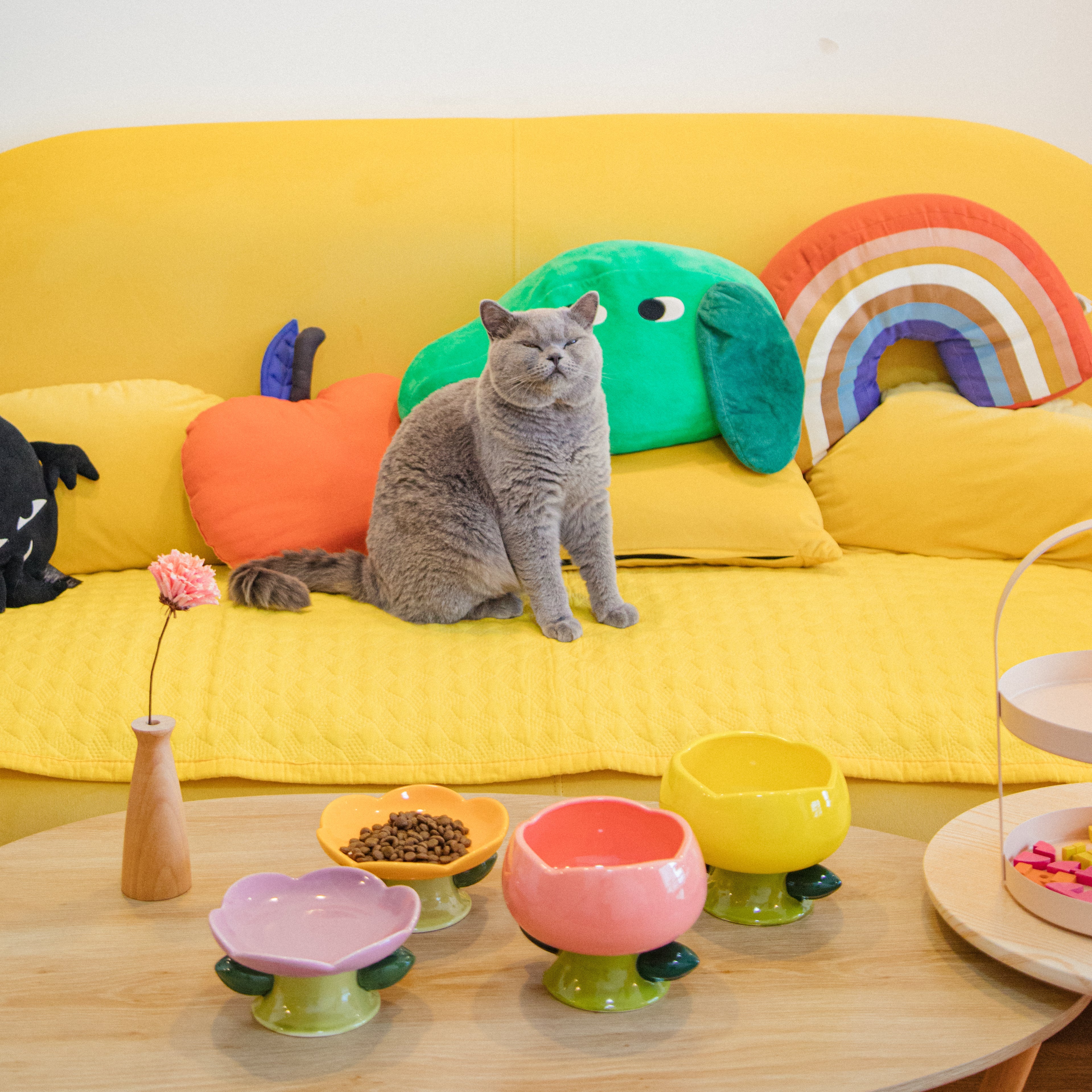 cute cat bowls