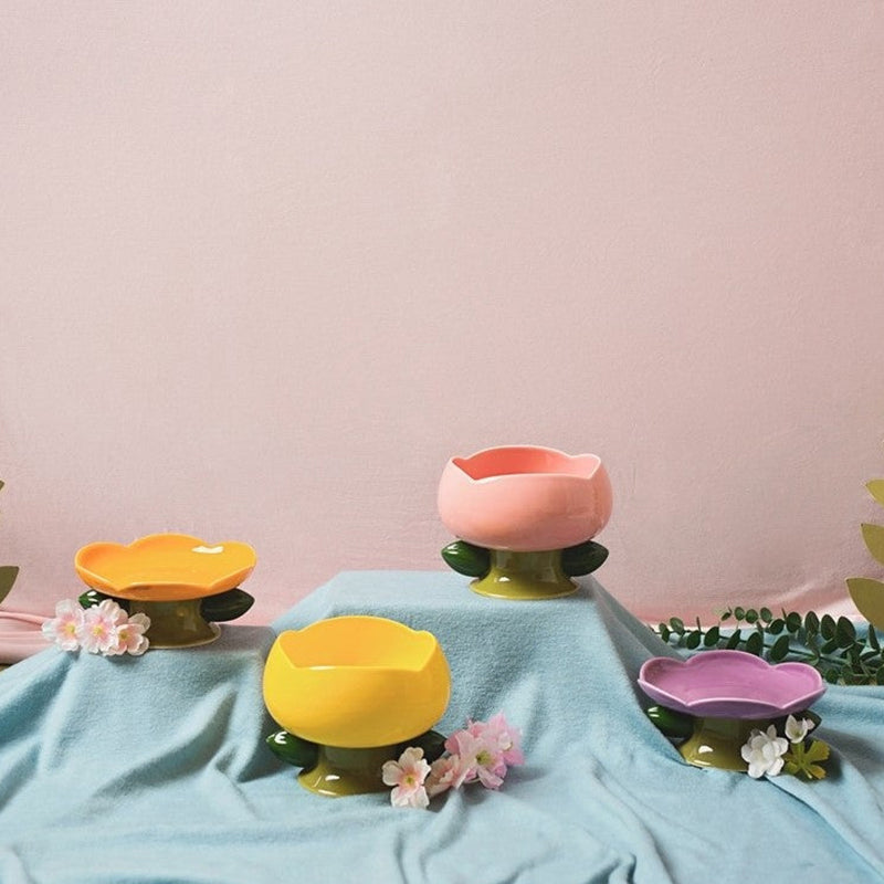 elevated ceramic cat bowls