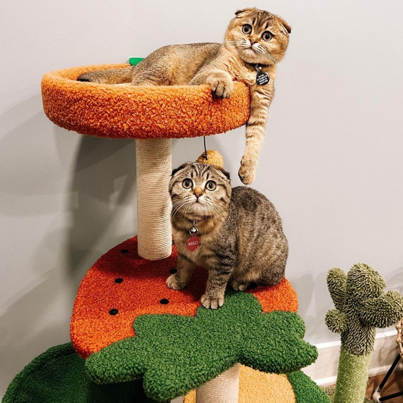 Two cats sitting on the Fruit World Cat Tree