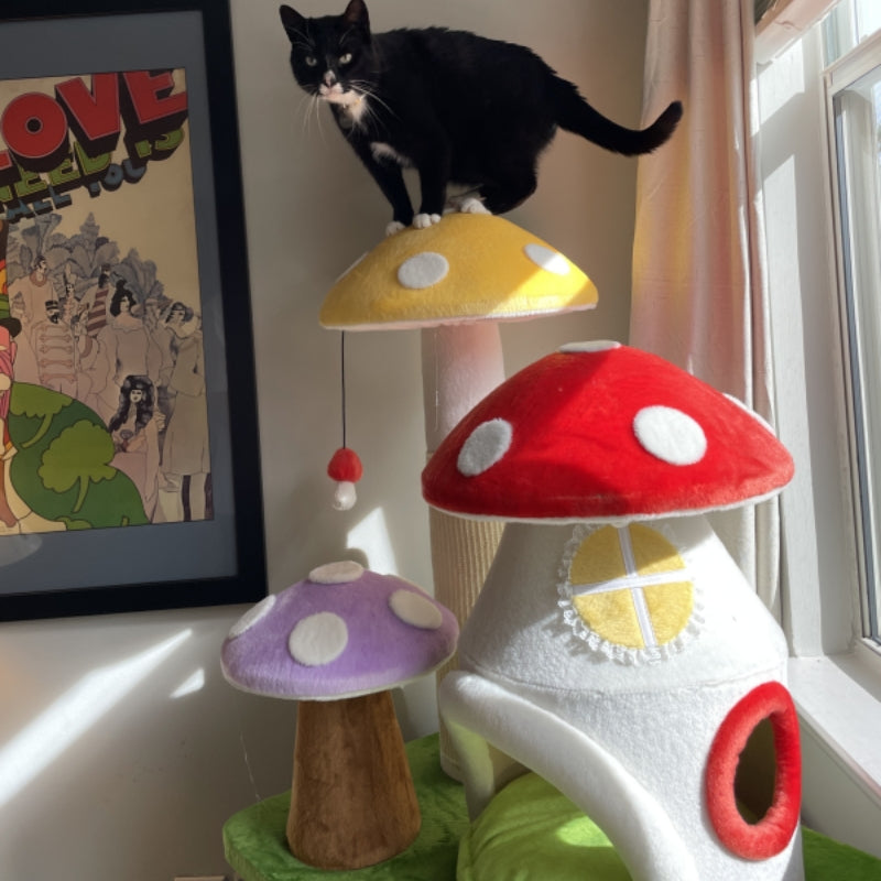 A cat standing on the mushroom platform of the Magic Mushroom Cat Tree