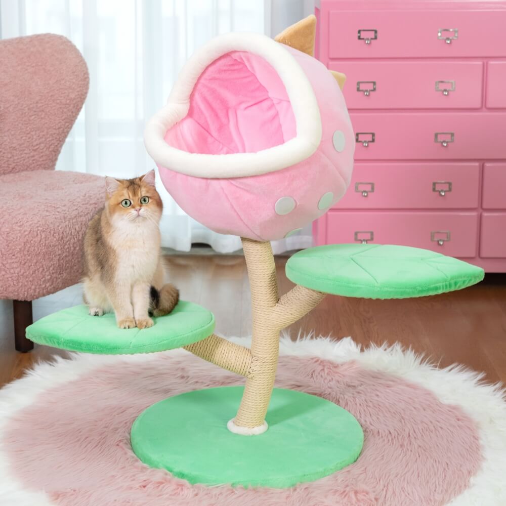 A cat sitting on Monster World Cat Tree