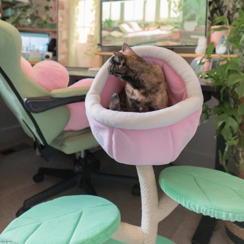 A cat on the Monster World Cat Tree in a green-themed gaming room