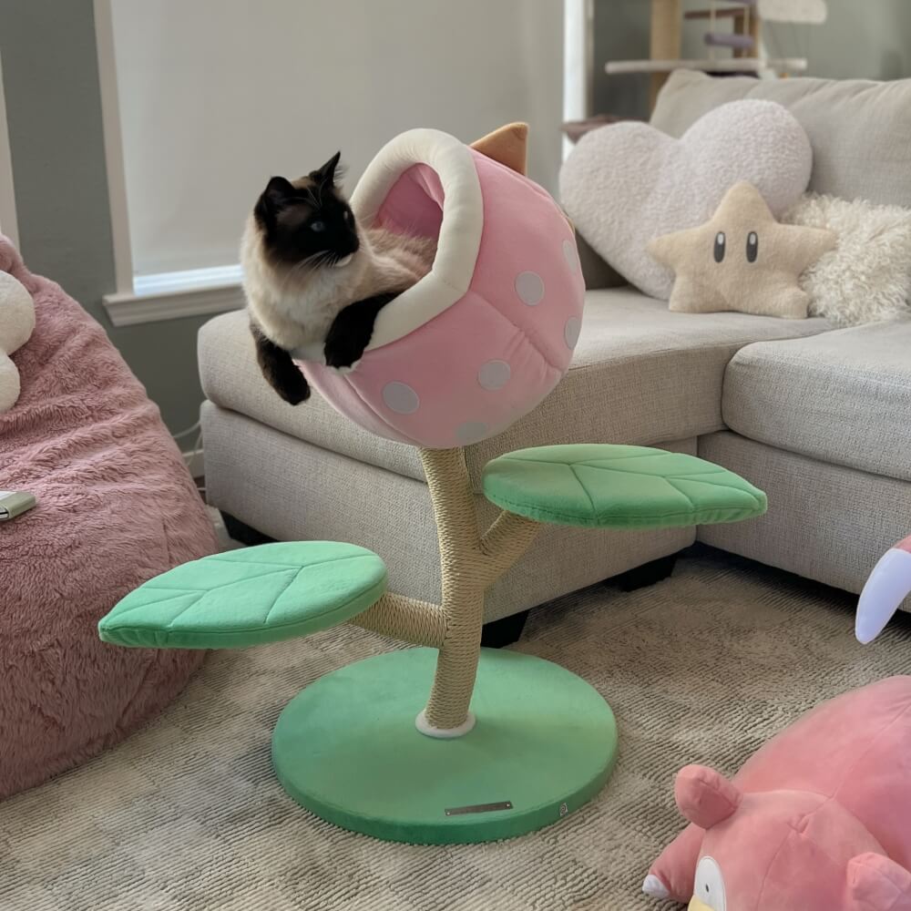 A cat on the Monster World Cat Tree in the living room