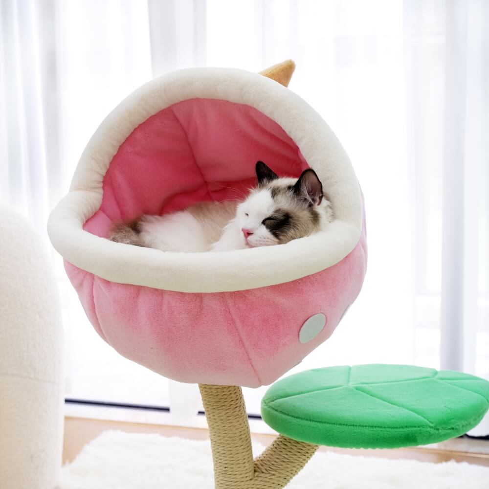 Ragdoll cat sleeping in the piranha flower condo of the Monster World Cat Tree