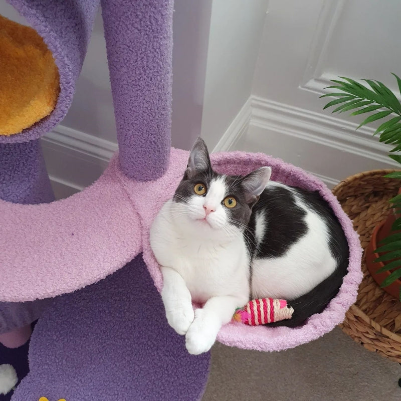 Detail of the hammock on the Moonlight Cat Tree