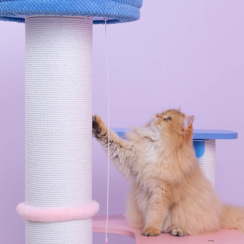 Cat scratching the sisal-covered post of MoraSky Cat Tree – durable sisal for healthy claws.