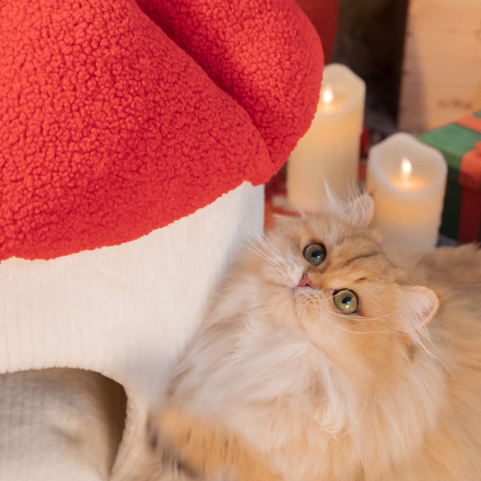 mushroom cat bed details