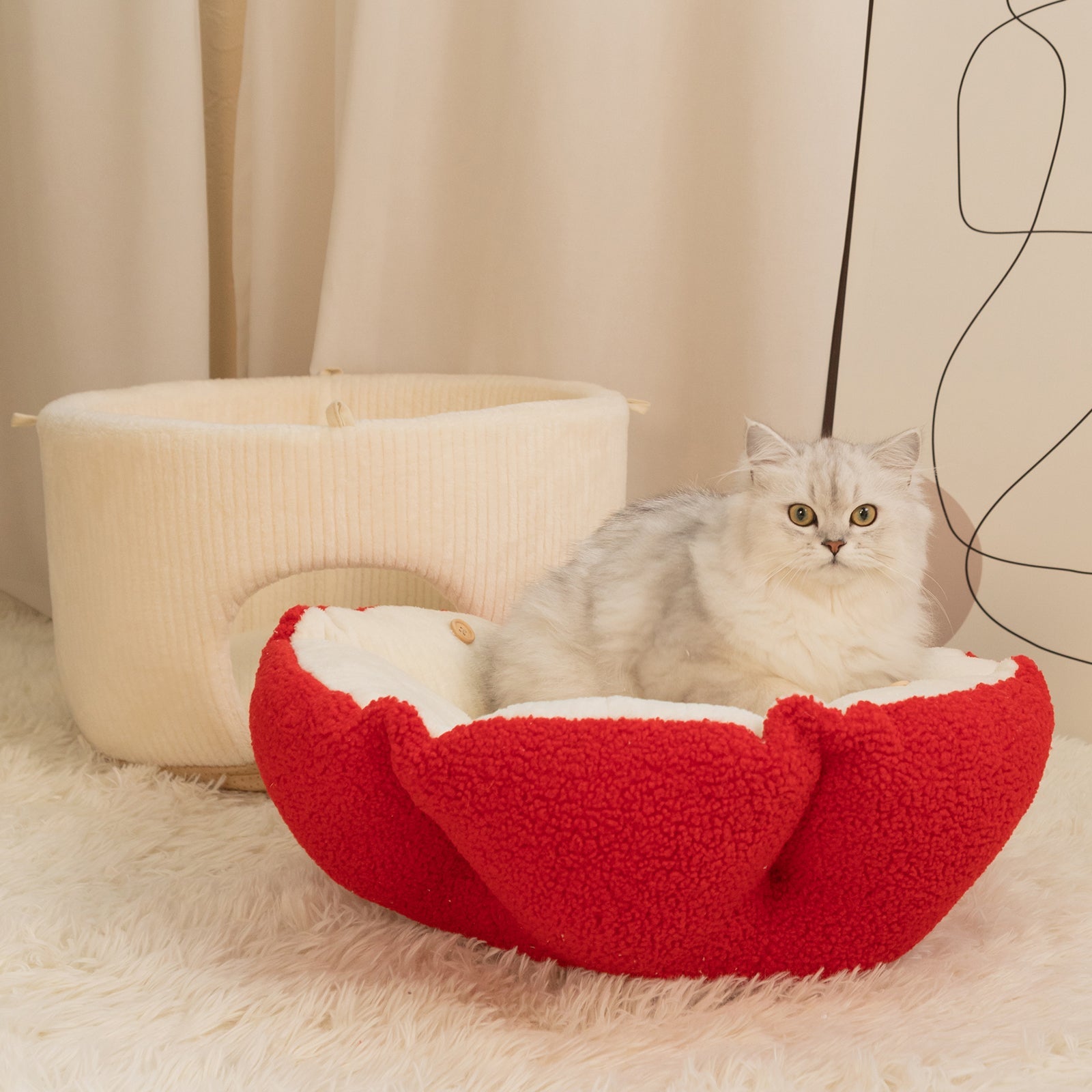 mushroom cat bed indoors