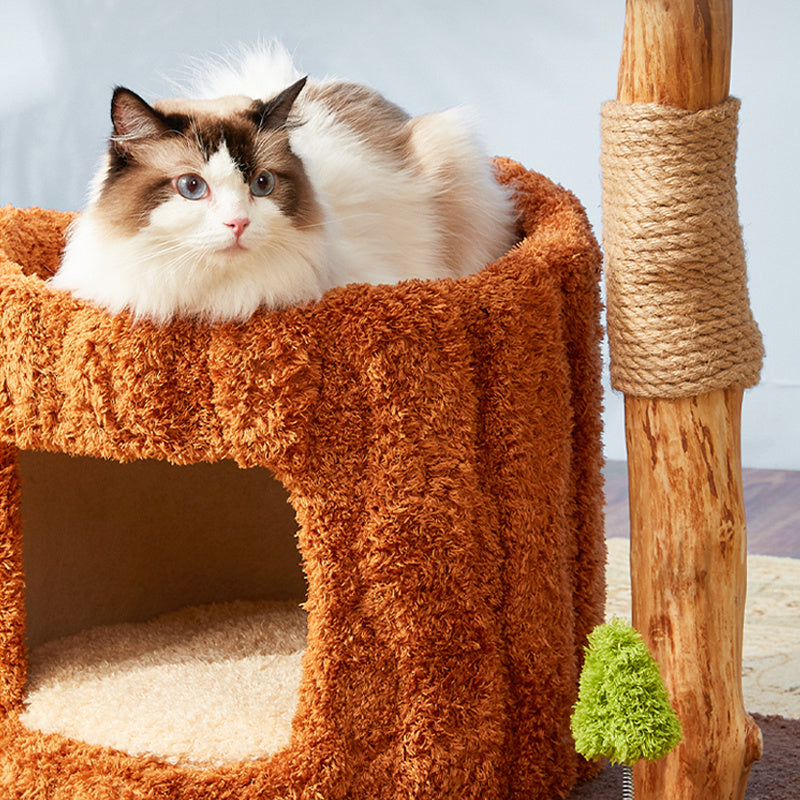 A Ragdoll cat lying on the trunk of the Stylish Catnap Stump Cat Tree.