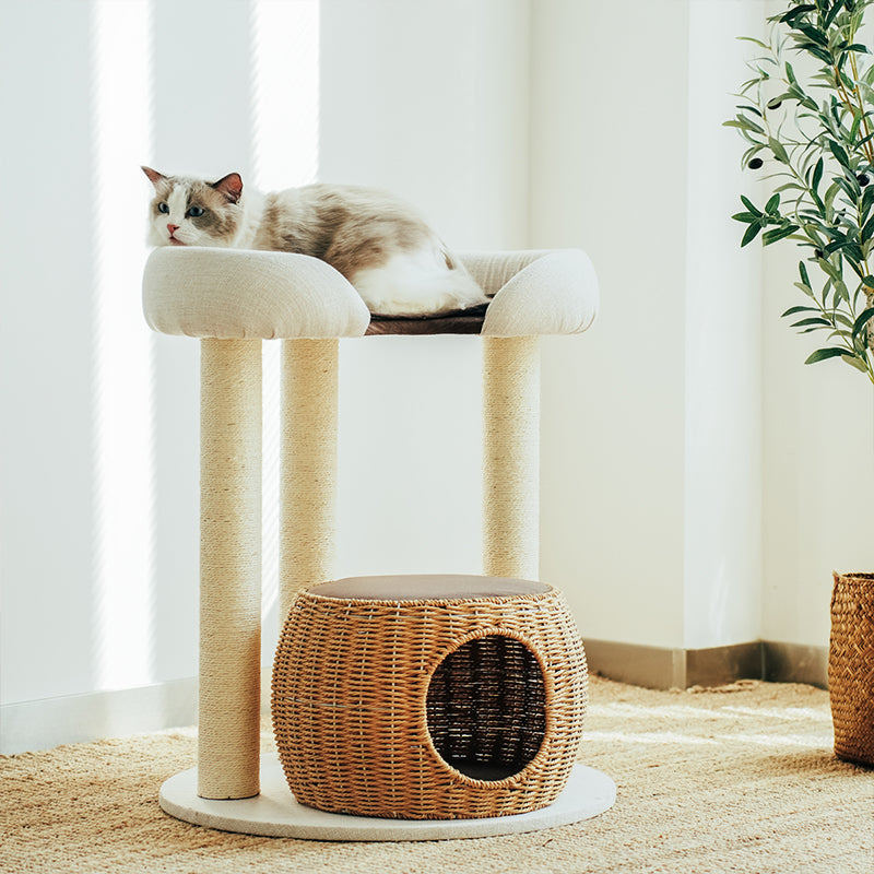 A Ragdoll cat lounging on the Zen Style Rattan Cat Tree in the living room.