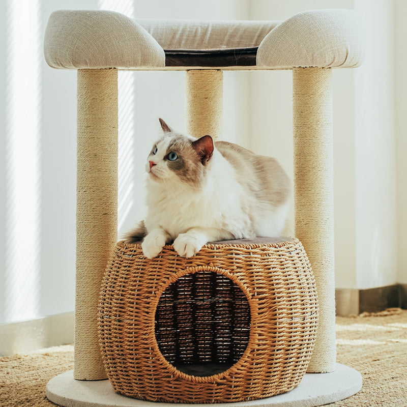 Ragdoll cat on the woven nest of the Zen Style Rattan Cat Tree.