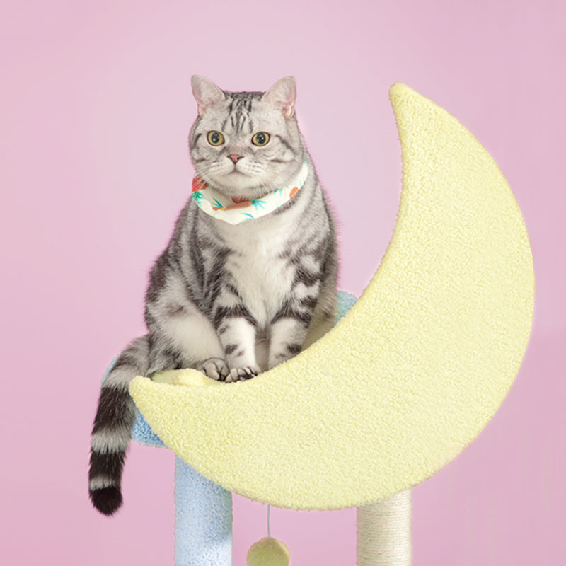 A 16-pound cat sitting on the top moon platform of the Starry Sky Cat Tree