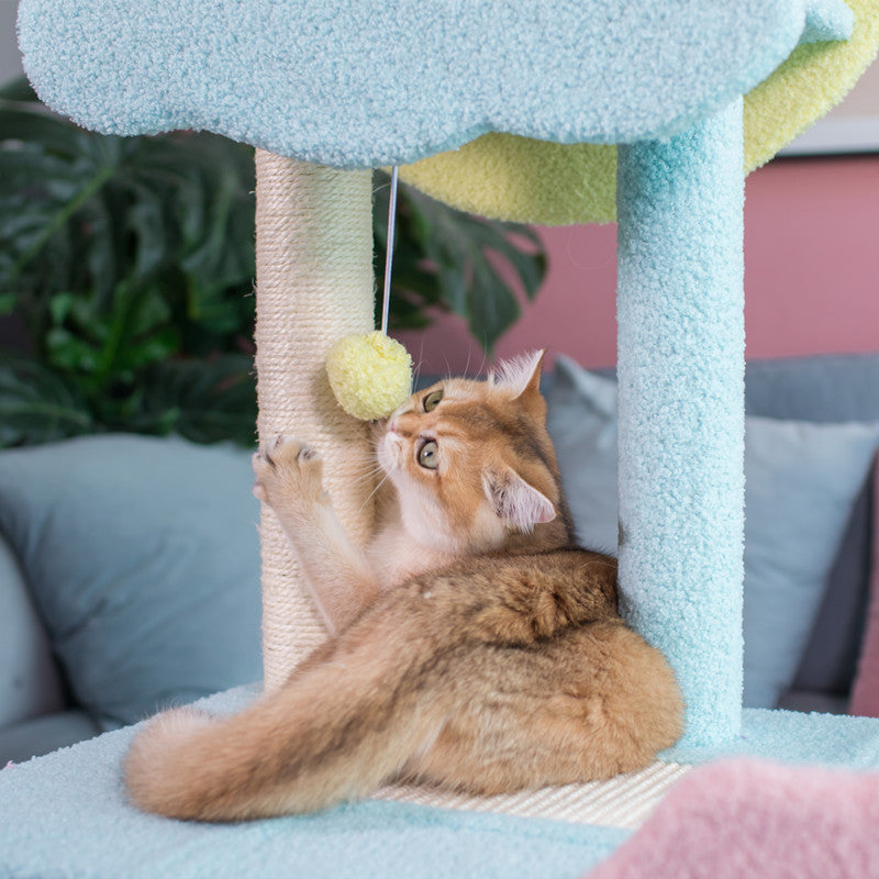 A cat playing with the hanging toy on the Starry Sky Cat Tree