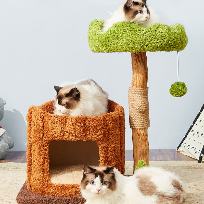 Three cats on the Stylish Catnap Stump Cat Tree.