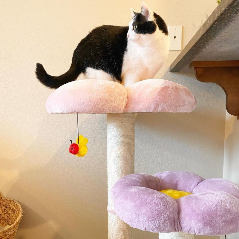 Front view of the flower platform on the Three Flower Cat Tree