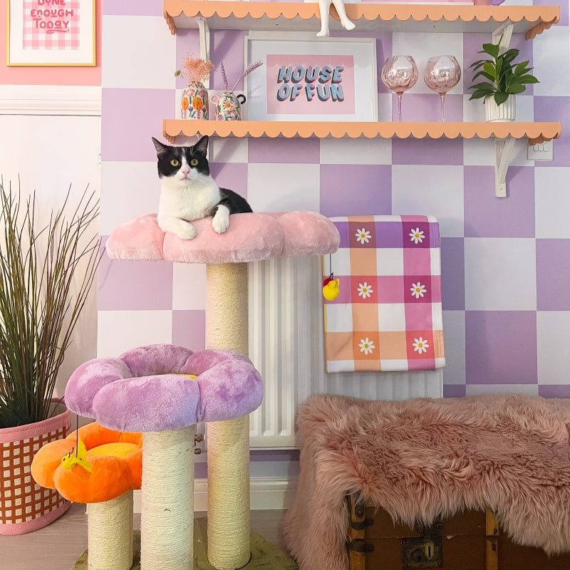 Front view of the Three Flower Cat Tree with a cat on it