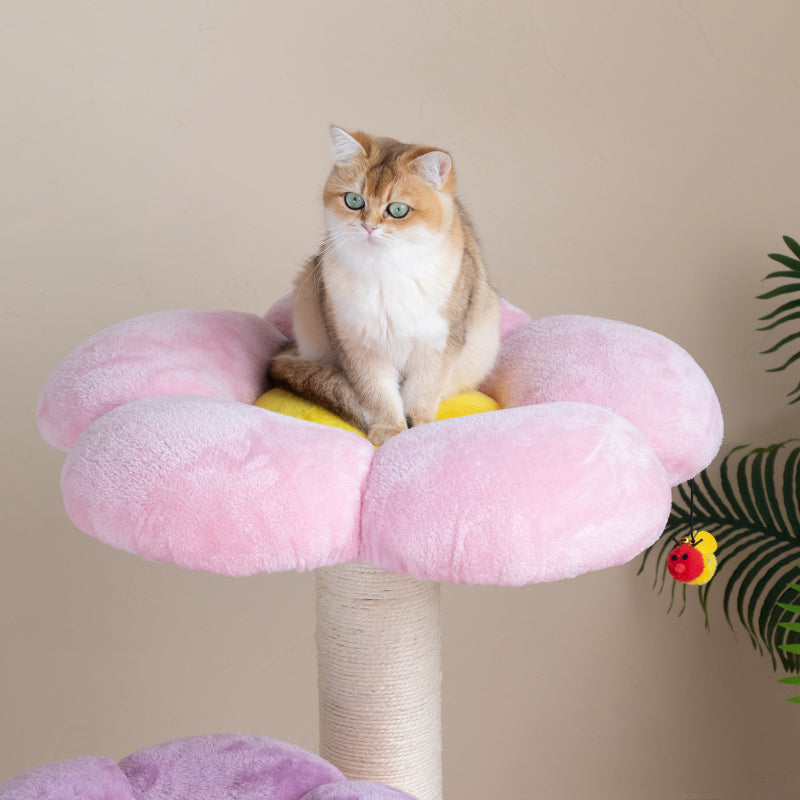 A cat sitting on the pink platform of the Three Flower Cat Tree