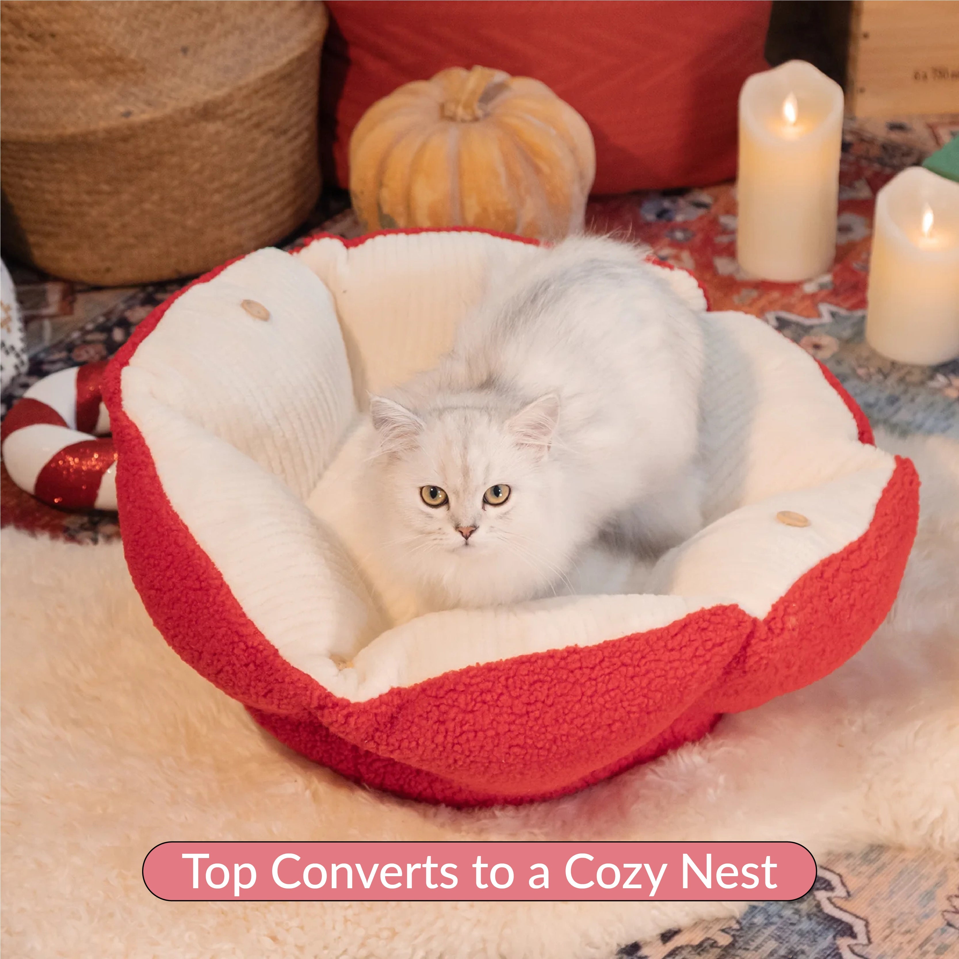 top converts to a cozy nest