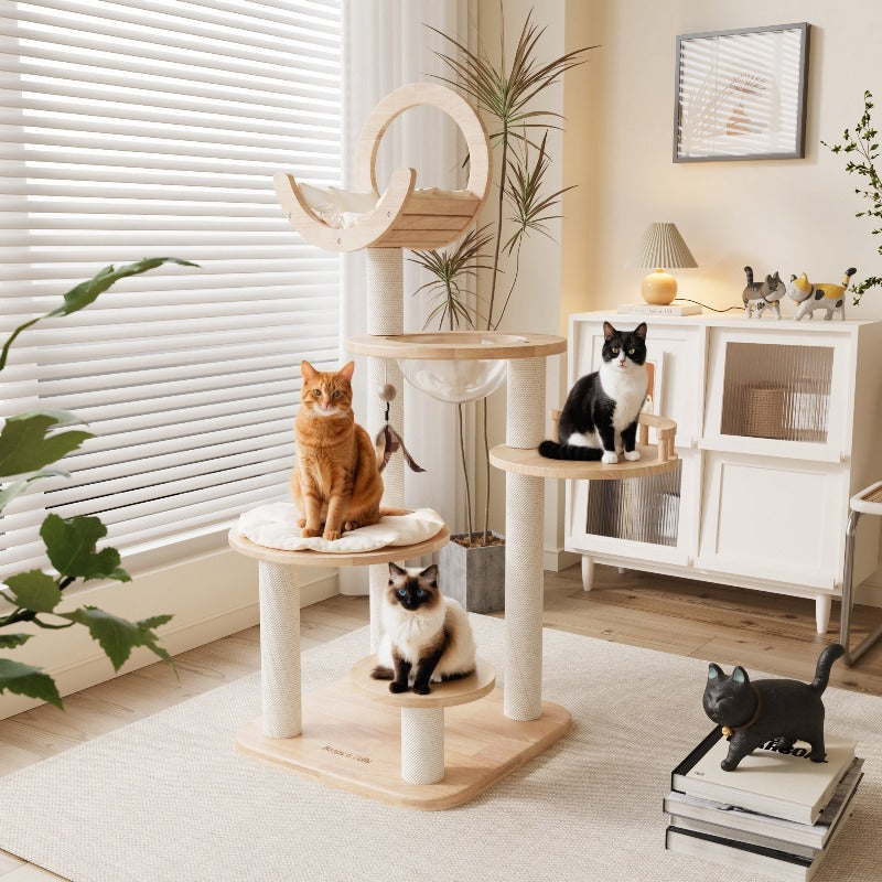 Three 15-pound cats sitting on the first configuration of the Transformable Cat Tree