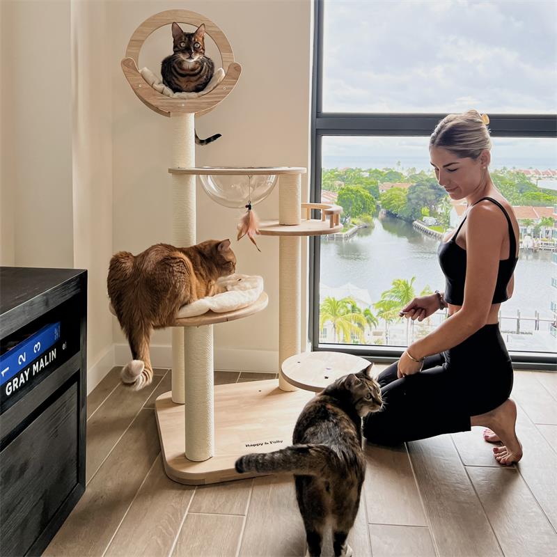 A woman playing with her three cats beside the Transformable Cat Tree