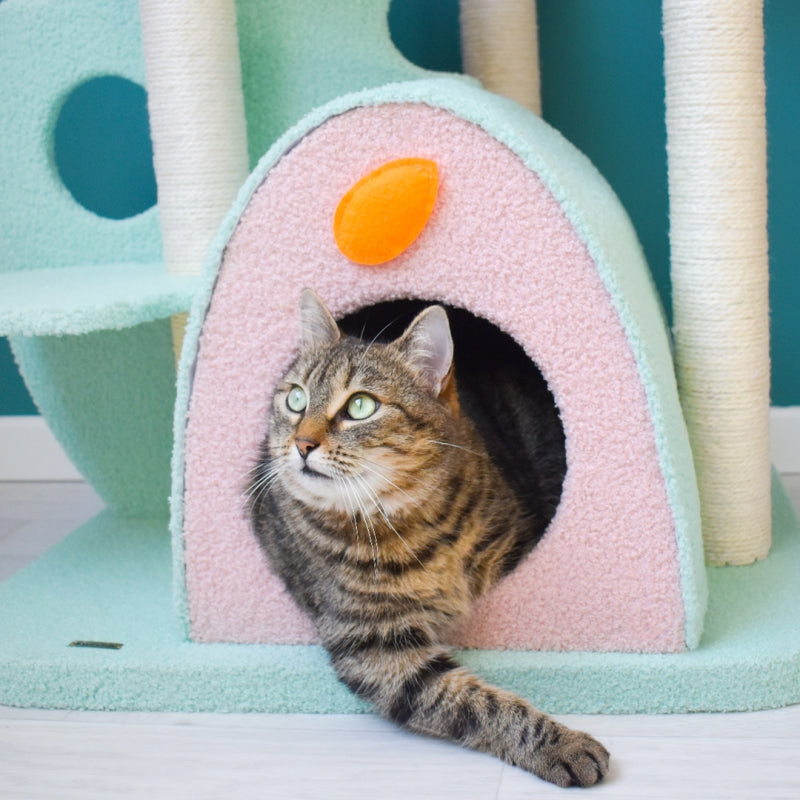 A cat on the condo of the Upgraded Wonderland Cat Tree-XL