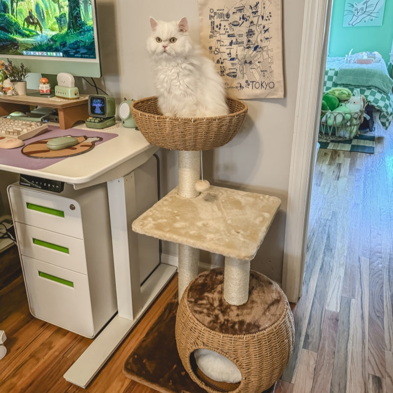 A white cat sitting in the Brown Rattan Cat Tree's nest next to a gaming desk.