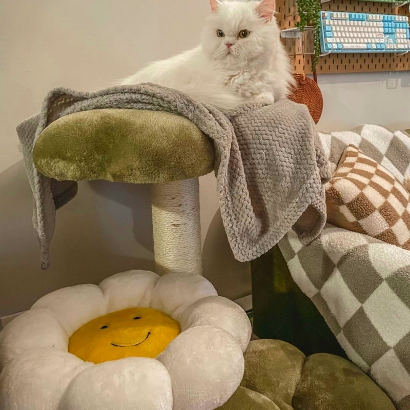 white longhaired cat lying on top platform of Four Leaf Clover Cat Tree