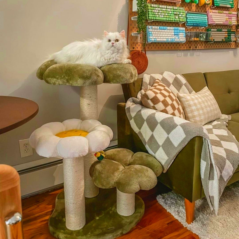 white longhaired cat lying on top platform of Four Leaf Clover Cat Tree next to sofa