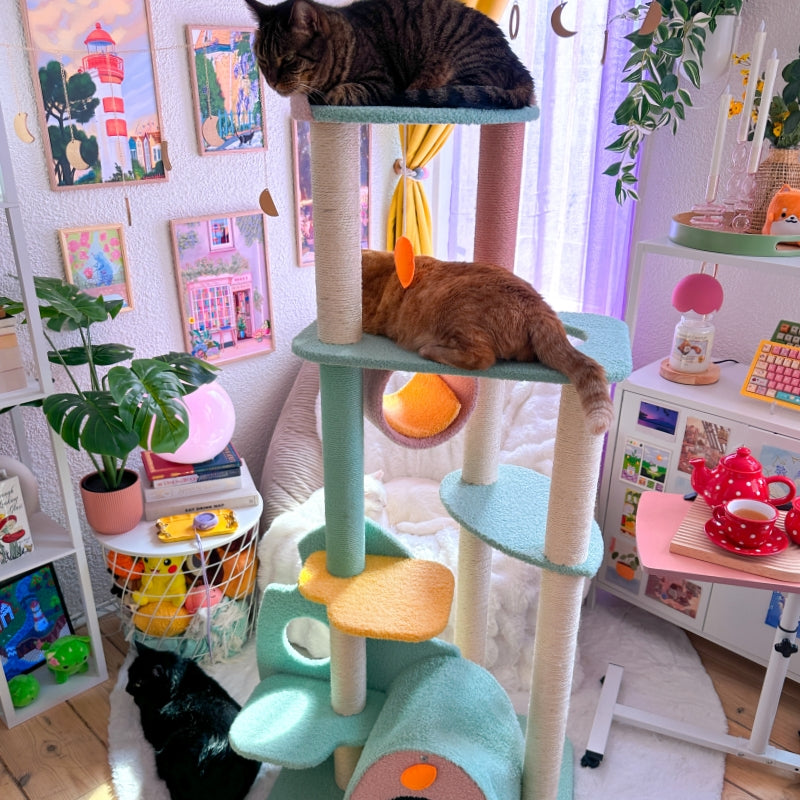 Upgraded Wonderland Cat Tree-XL